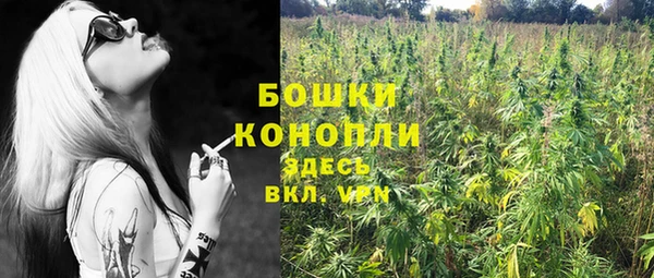 трава Армянск