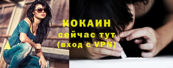 ALPHA PVP Елизово
