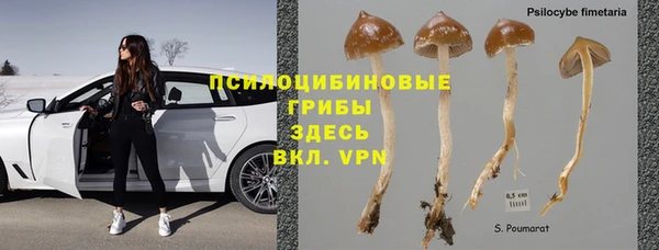 винт Аркадак