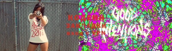 индика Заволжск