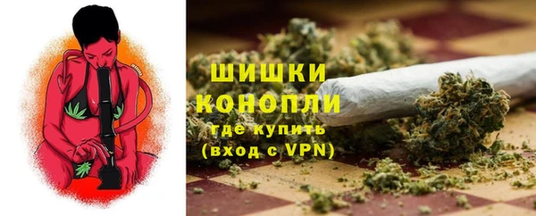 ПСИЛОЦИБИНОВЫЕ ГРИБЫ Баксан