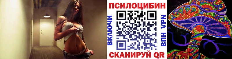 блэк спрут маркетплейс  Гурьевск  Псилоцибиновые грибы Psilocybe 